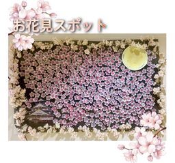 🌸玉造の夜🌸