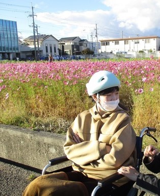 コスモス、ひまわり鑑賞　【生活介護】