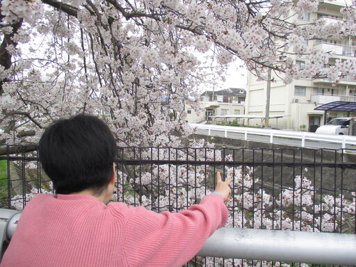 お花見　3　【生活介護】