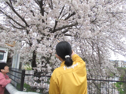 お花見　3　【生活介護】