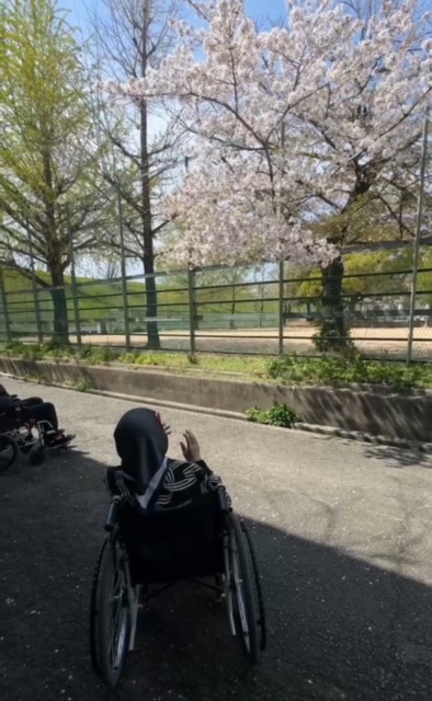 ✨お花見イベント✨