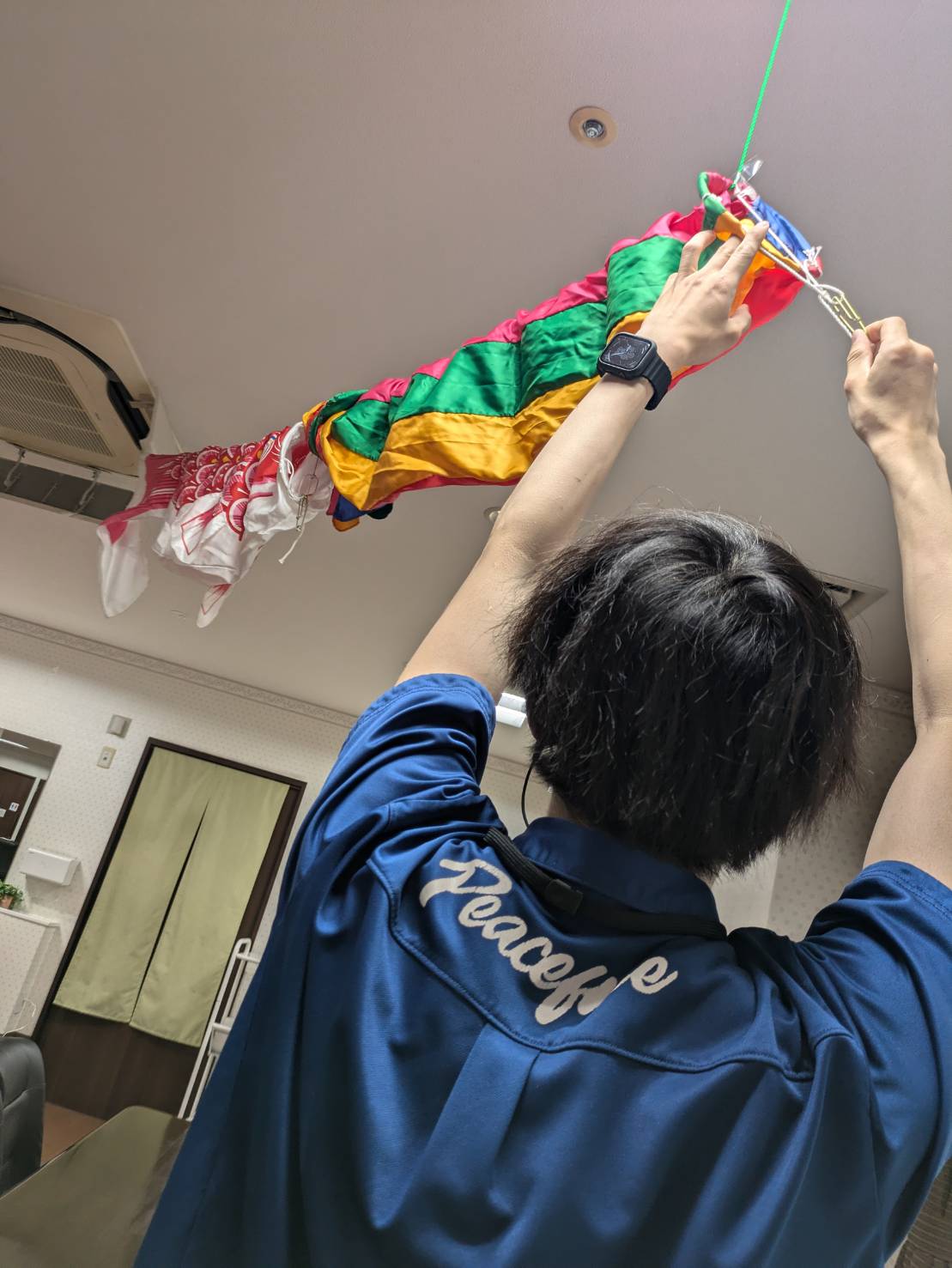 こいのぼり