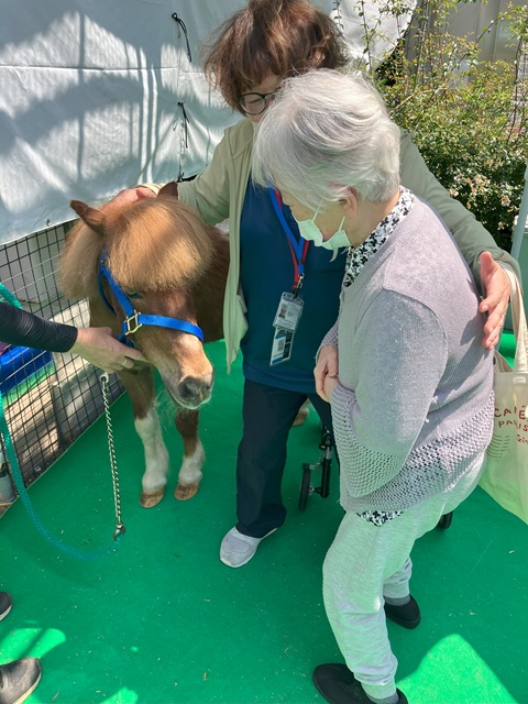 移動どうぶつ園