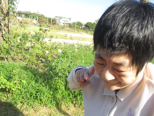 バラ公園 2  R7【生活介護】