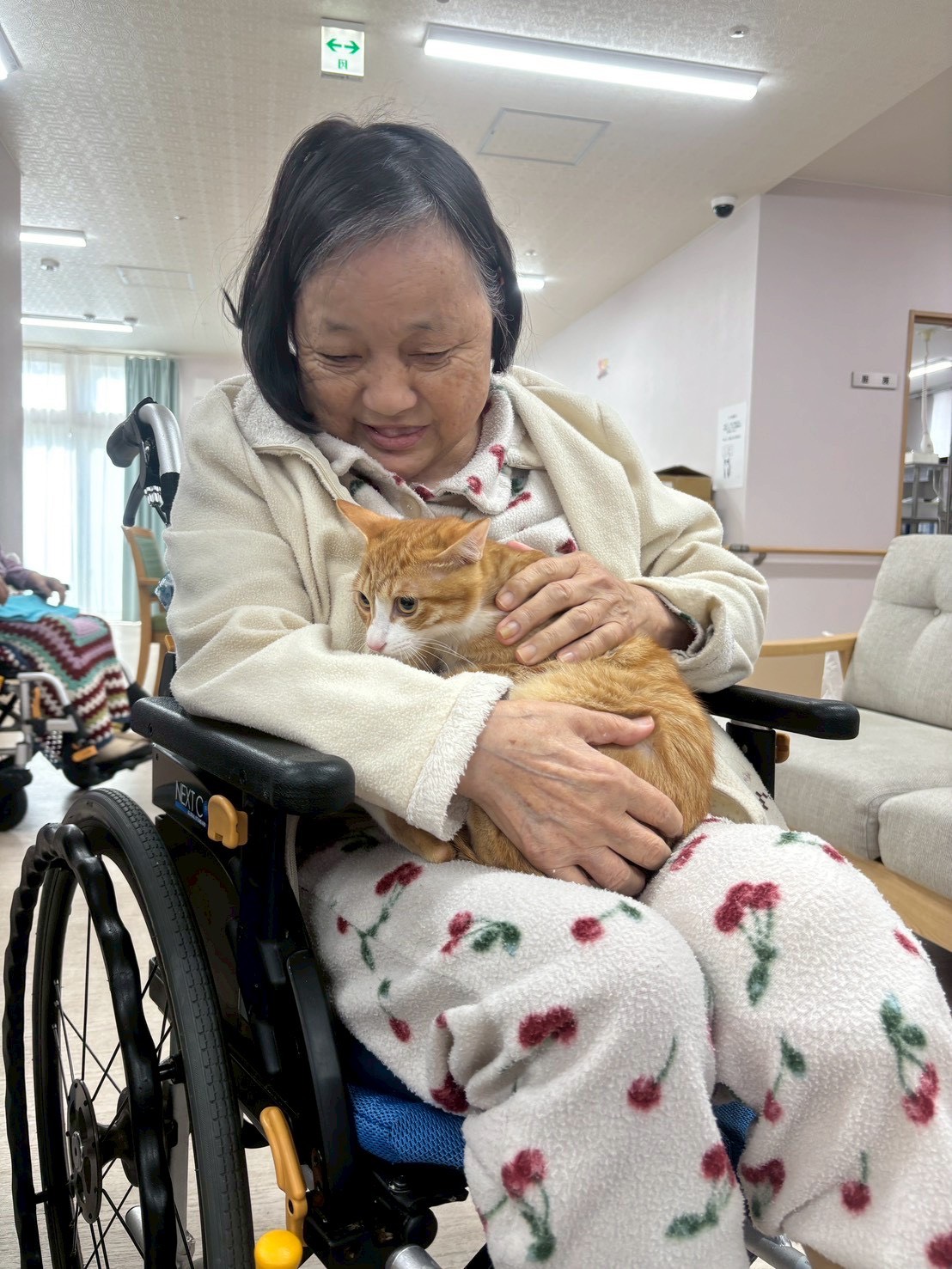 アニマルセラピー＆ケーキ🍰