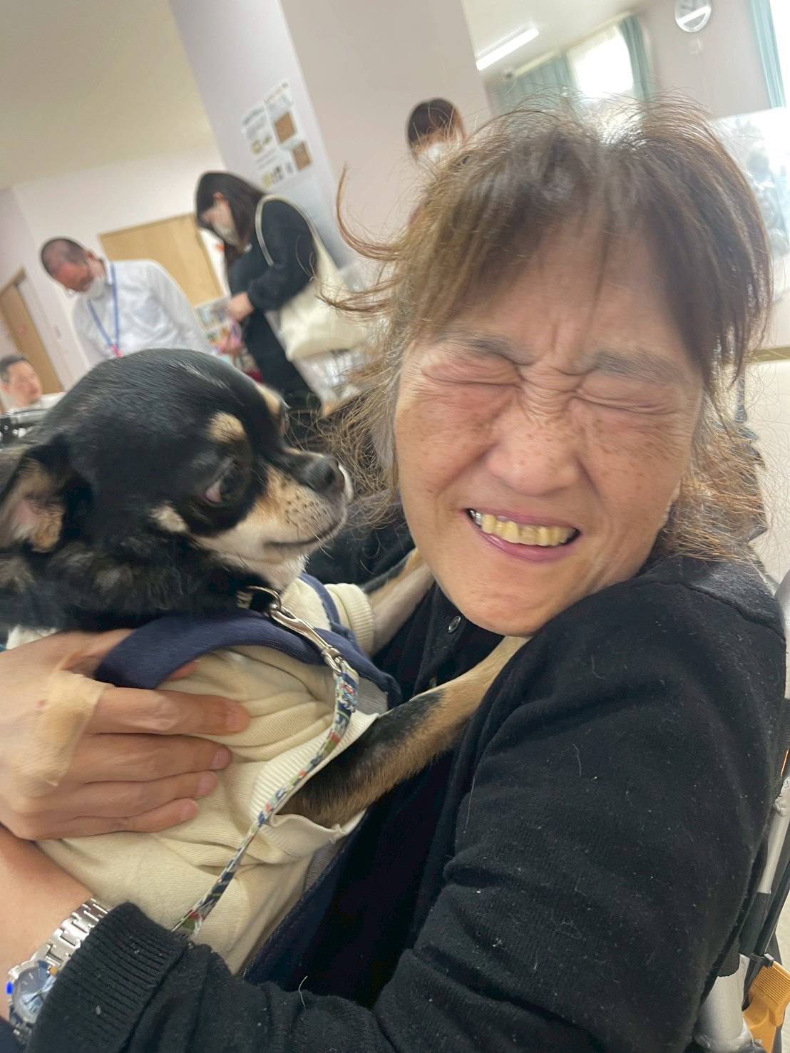 アニマルセラピー＆ケーキ🍰