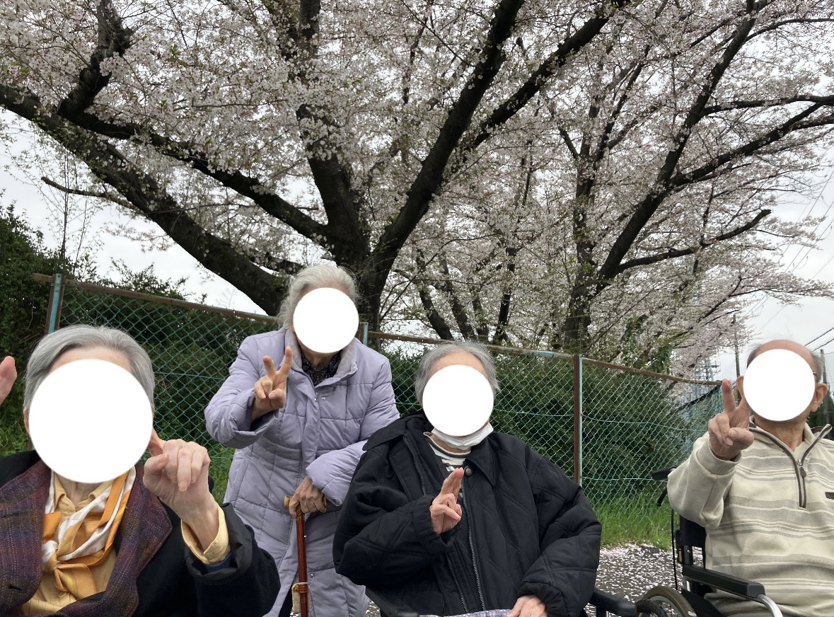🌸お花見🌸