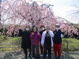 お花見 2026 【生活介護】