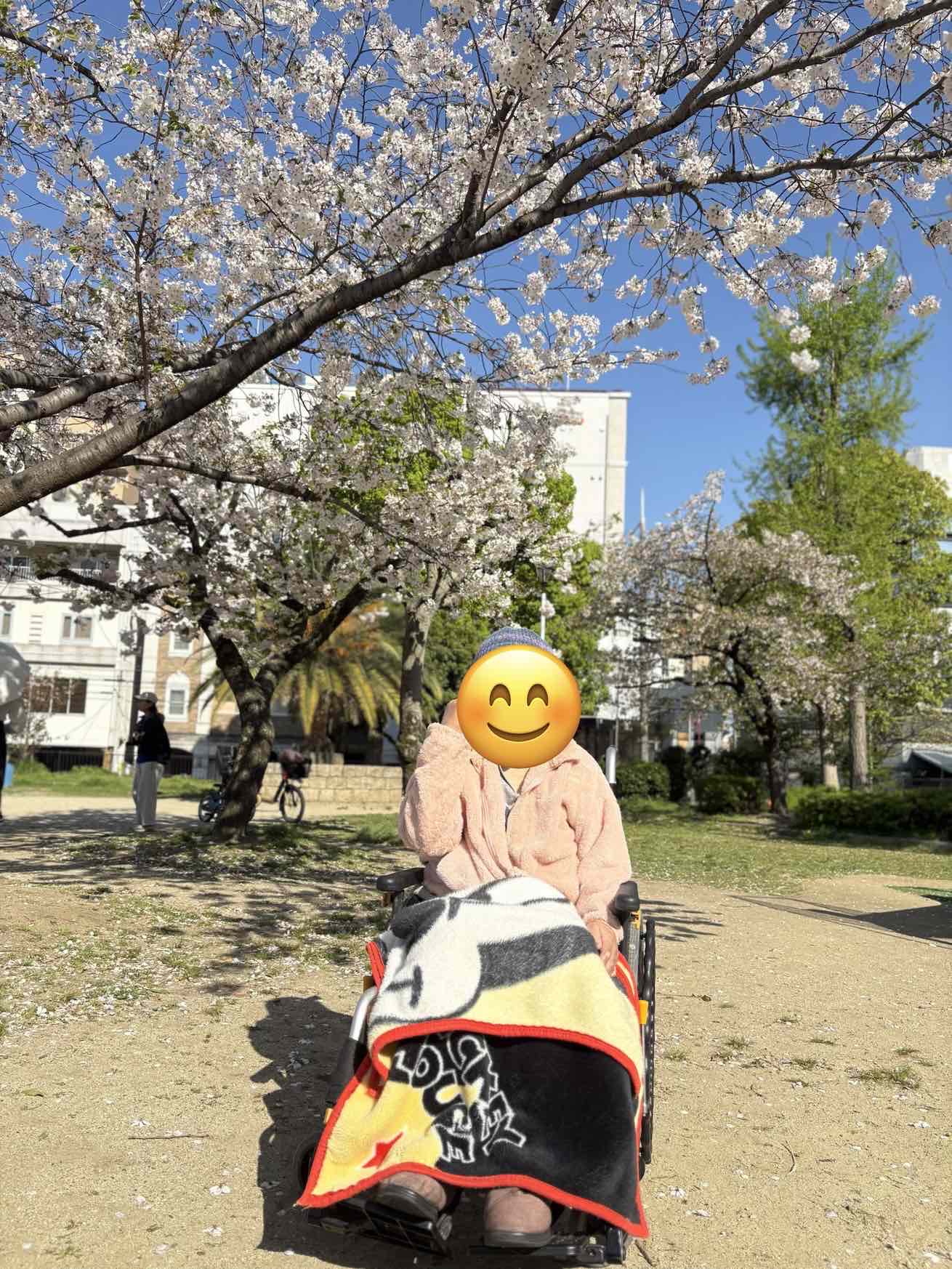 お花見🌸