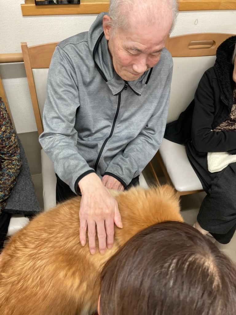 セラピードッグ🐶