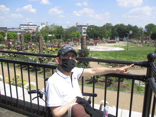 若園ばら公園 2026 【生活介護】