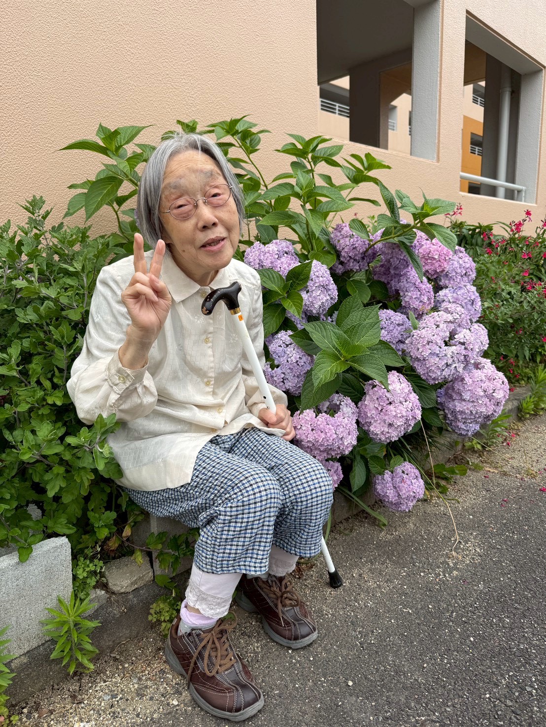 あじさい鑑賞💠🌿‬ ܸ
