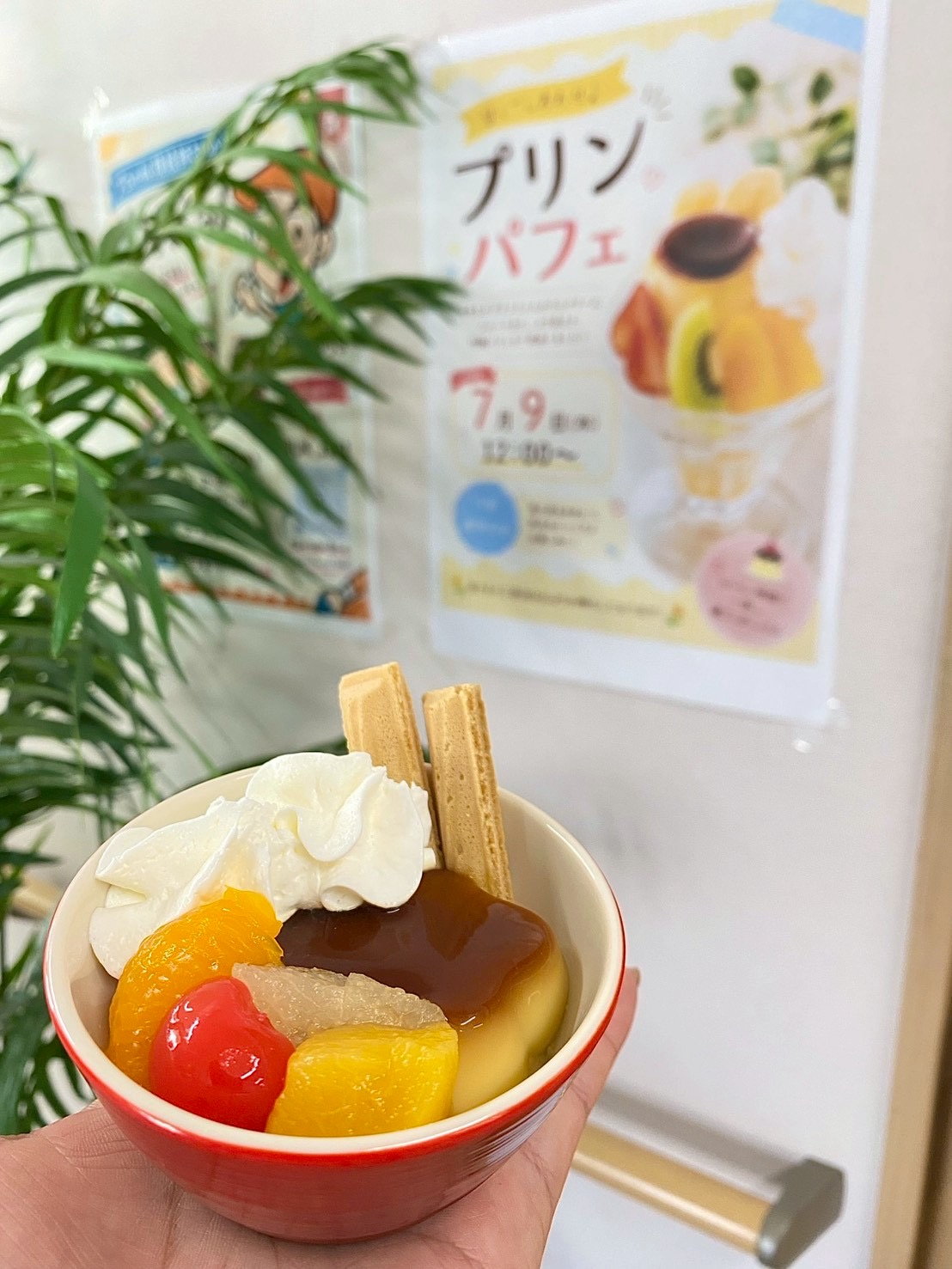 パフェレク🍨